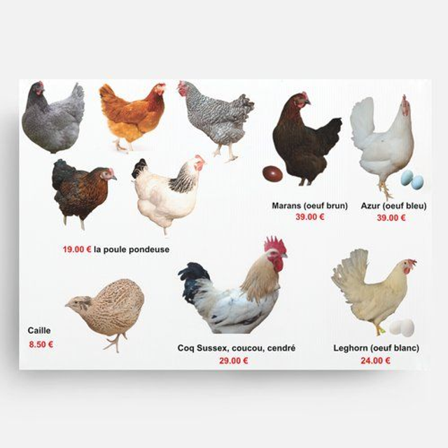 Tarif devis déductible