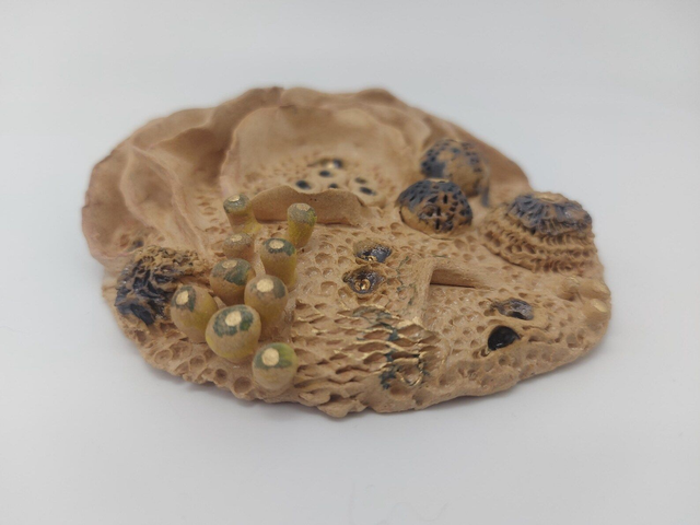 Ceramic Coral Wall Hanger