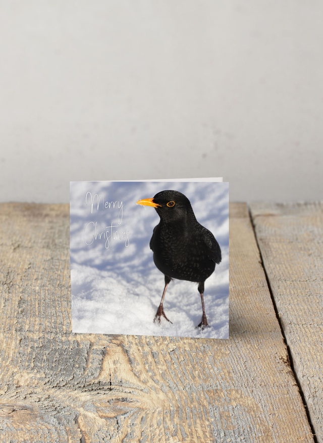 "Billy Blackbird in the Snow" Christmas Card 