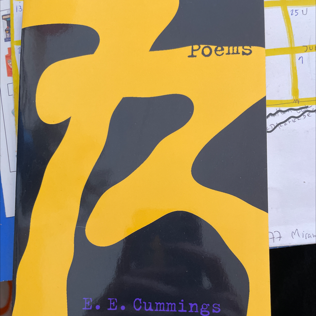 73 Poems E E Cummmings