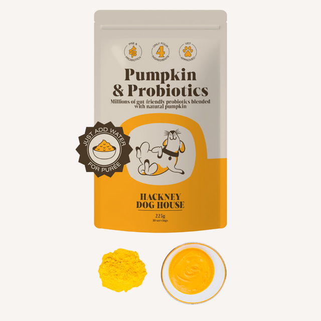 Pumpkin Probiotics 