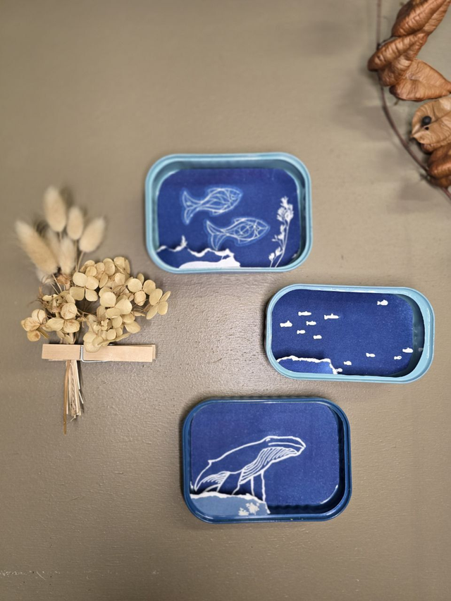 Boites de sardines - Cyanoboites