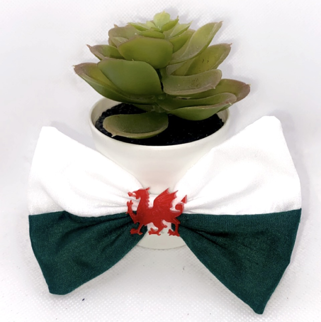 Welsh bow tie 