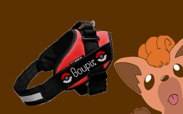 Bandeaux pour harnais animaux 