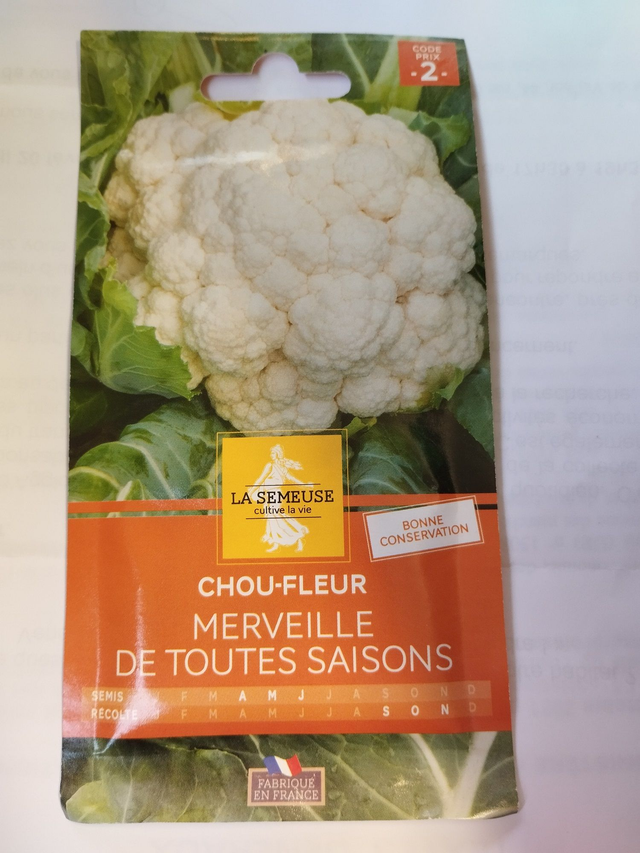 Chou-Fleur Merveille de toute saison