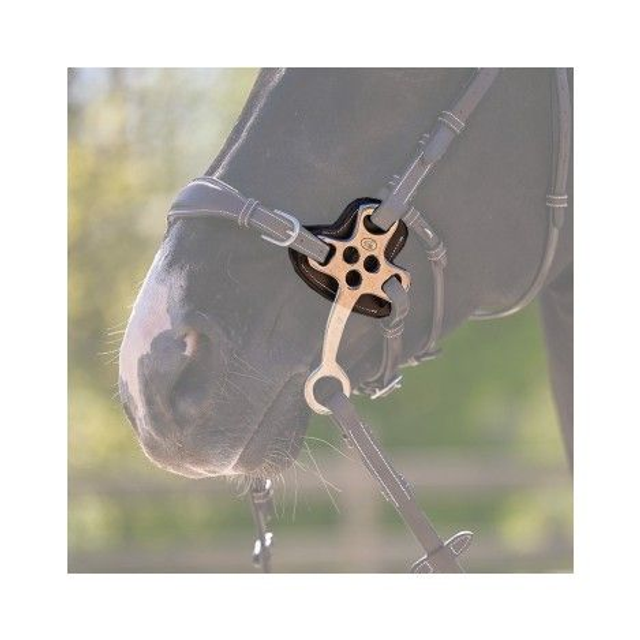 Protections pour hackamores JUMP'IN branches plates