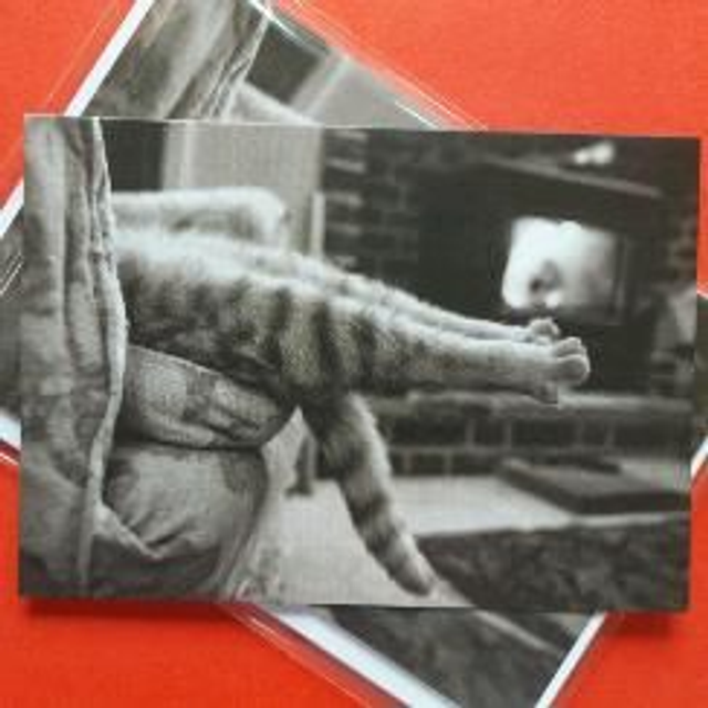 Christmas cards "George" 