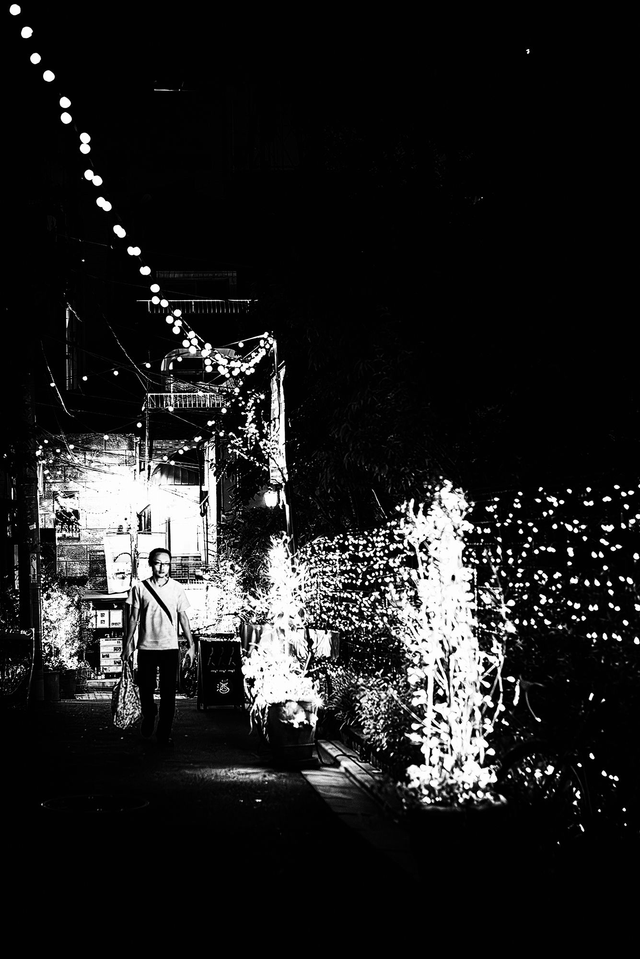 Denshoku (guirlande électrique)