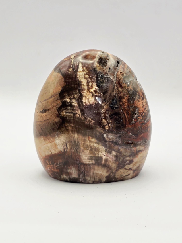 Bois fossilisé forme libre 