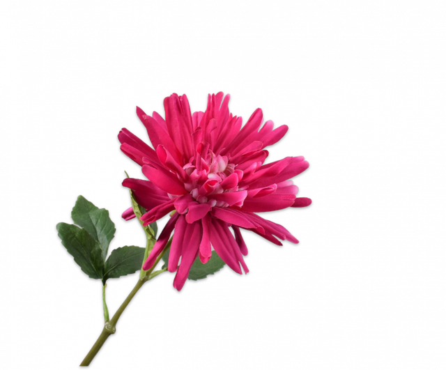 Silk-Ka Dahlia Steel Fuchsia 