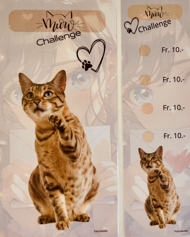 Miaou 3