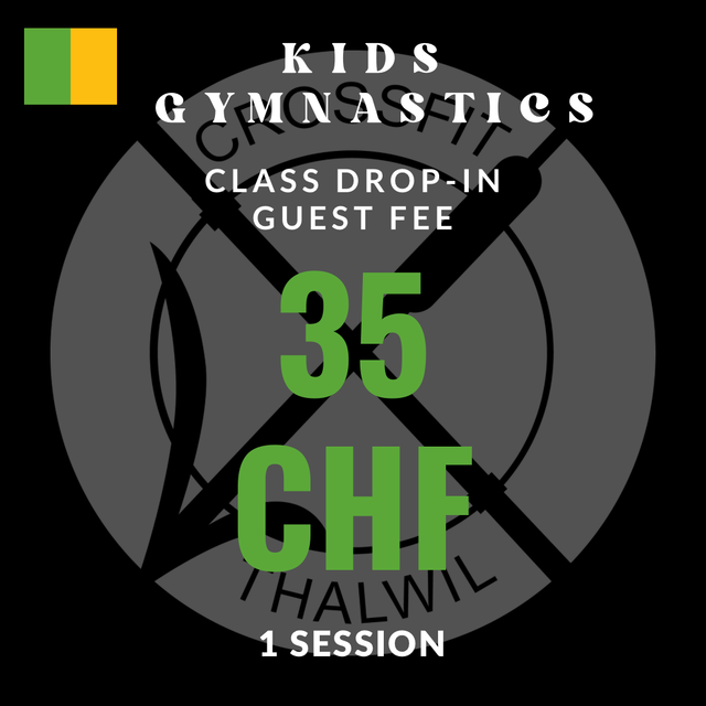 Class Drop-In Guest Fee