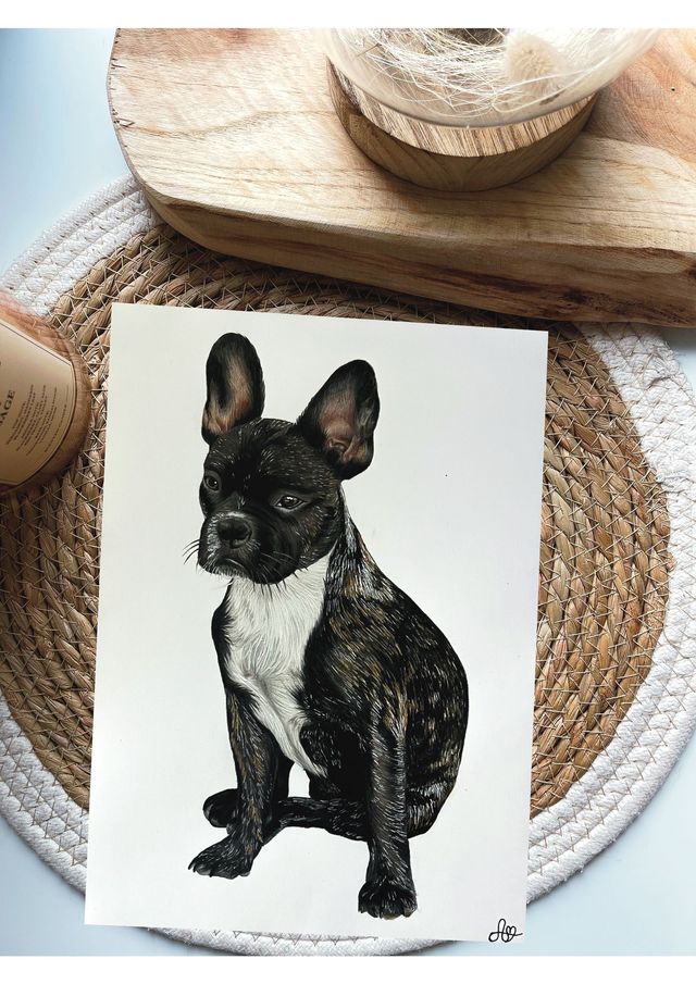 Portrait Traditionnel ou Digital d&#039;Animaux 