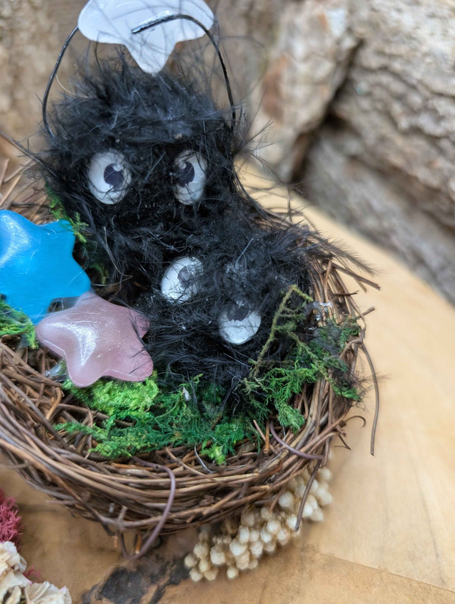 Nid de noireaudes - boule de suis