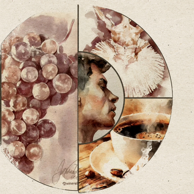 L'aquarelle avec du vin et du café