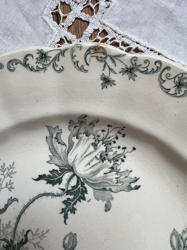 PAVOTS GRIS-VERT - Suite de 4 assiettes plates modèle Pavots par la manufacture française Choisy le Roi (H. Boulenger) - Terre de Fer