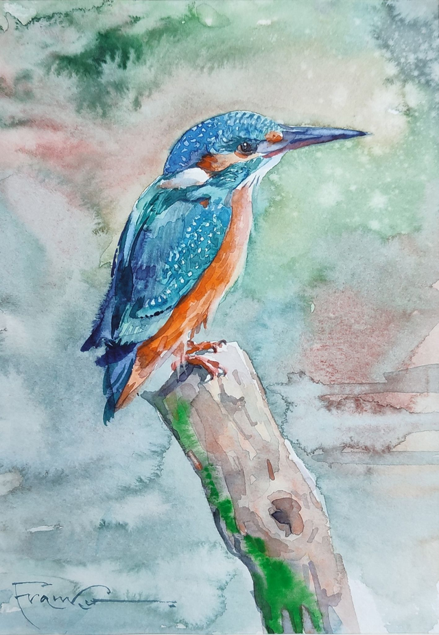 Zimorodek, 30x24 (21x15 w świetle passe-partout) akwarela 2022