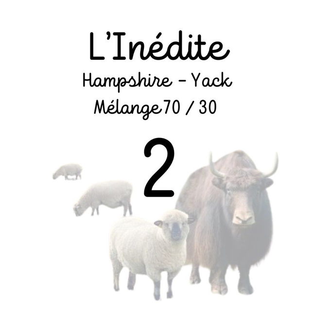 L'Inédite 2 Fils