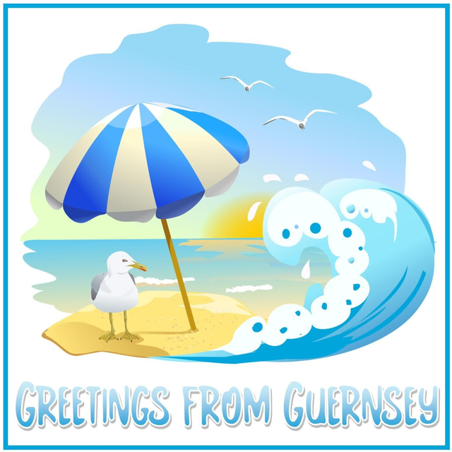 101 CARD - BEACH SEAGULL