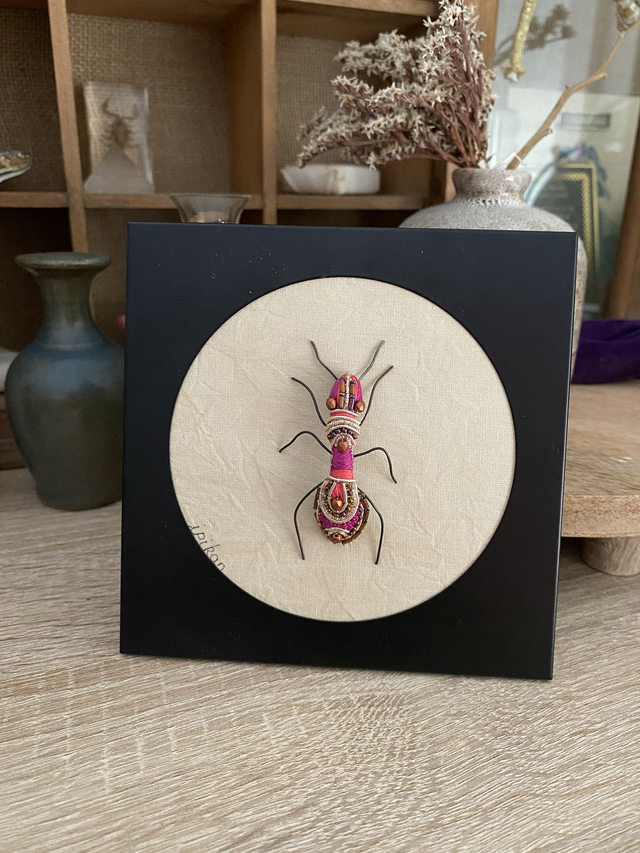 Cadre carré fourmi framboise