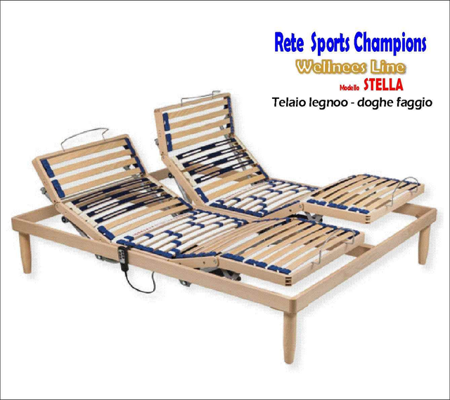 Rete doghe motorizzata At+Ap STELLA Champion