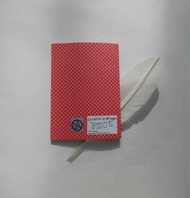 Bonnes fêtes avec ce joli bonhomme de neige brodé