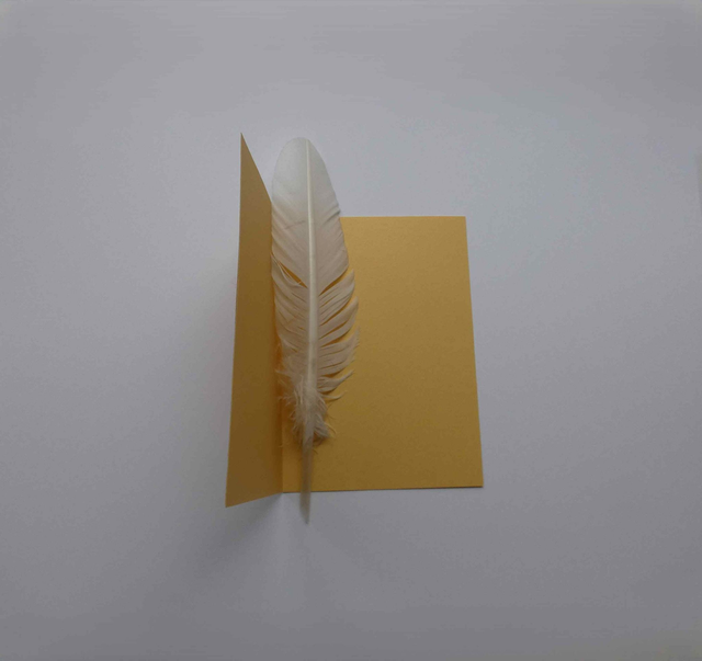 La jolie étoile de Noël