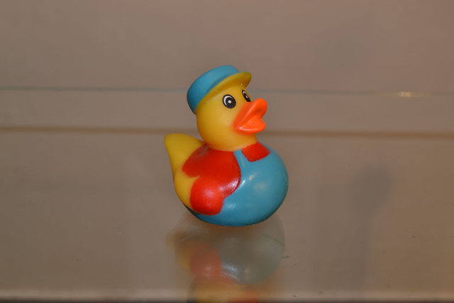 Charmand petit canard fun