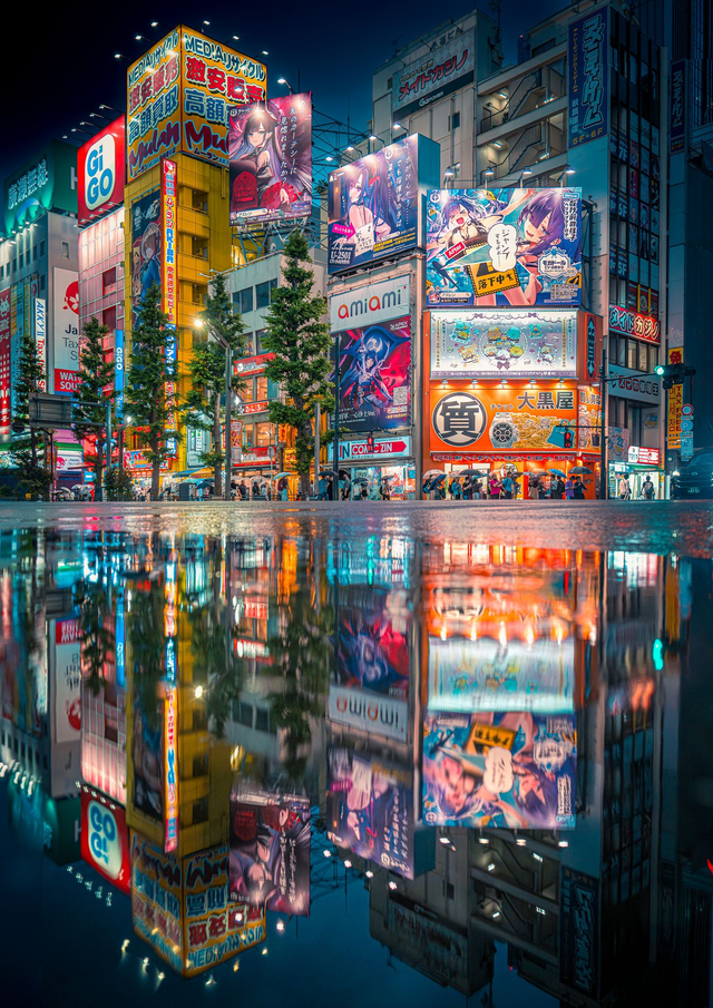 Akihabara After the Rain