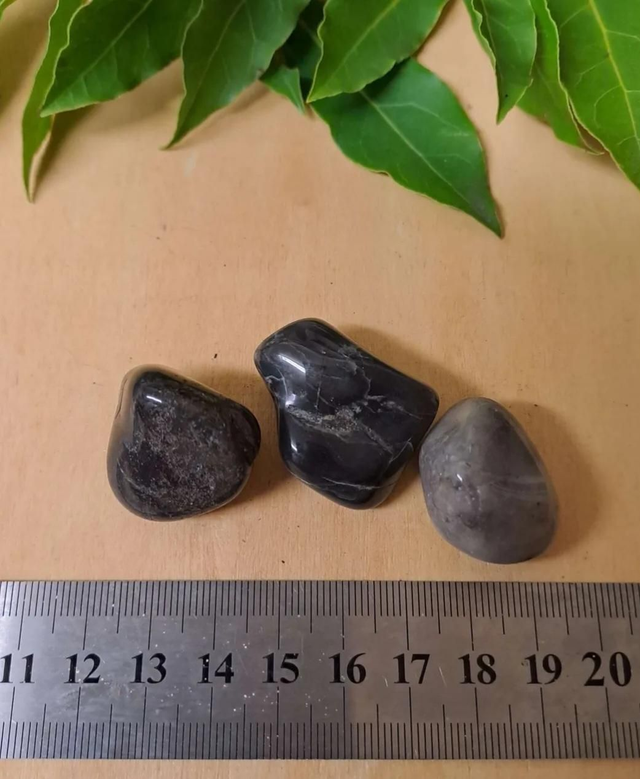 CRADLE OF HUMANKIND TUMBLESTONE 