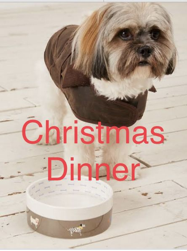 Christmas Dinner 