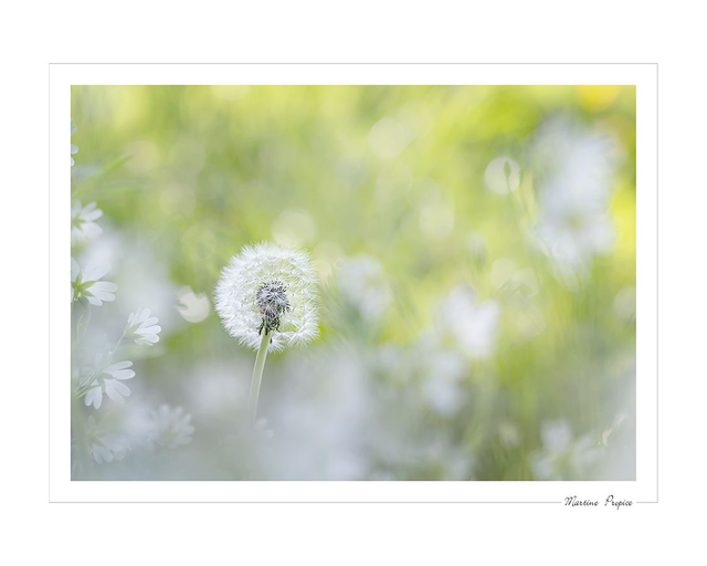 C215 - En attendant le vent