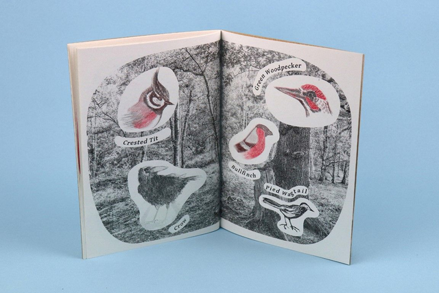 Shoreline, Skyline, Treetop Messenger