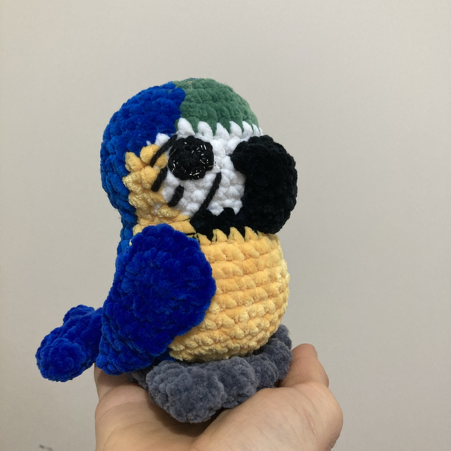 Perroquet « ara ararauna »