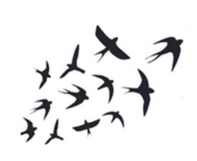 Envolée d'hirondelles