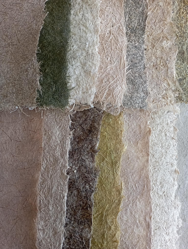 Stage Papier Végétal 5 juillet 2025