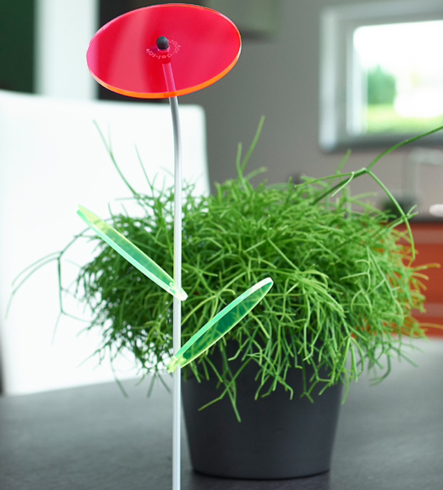 Fleur de bureau soleil | Lilly ( rouge )