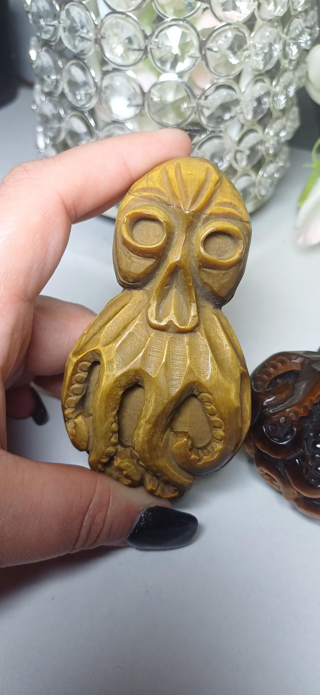 Tiger&#039;s Eye Octopus