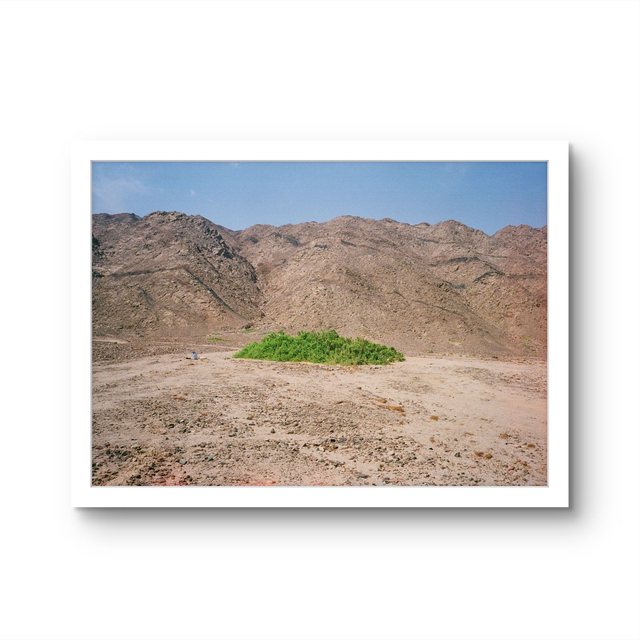 30. x 45. cm: Edition of 15/ 350 Euro