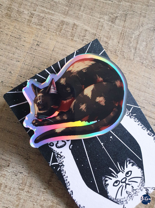 Pin's holographique chat écaille de tortue
