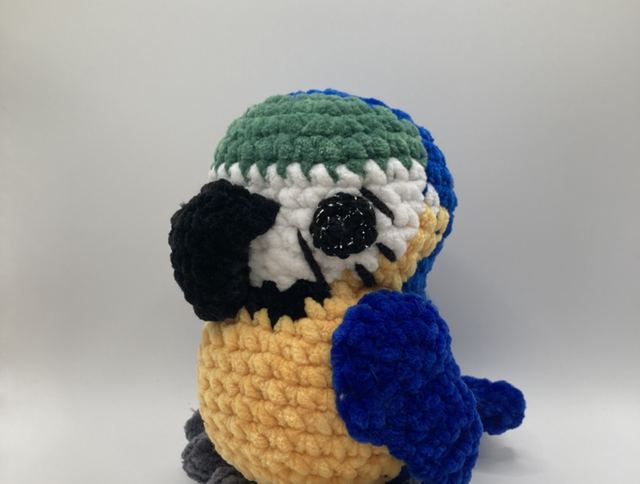 Perroquet « ara ararauna »