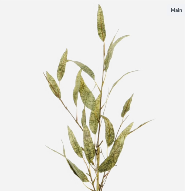 Dried Touch Slim Leaf Branch