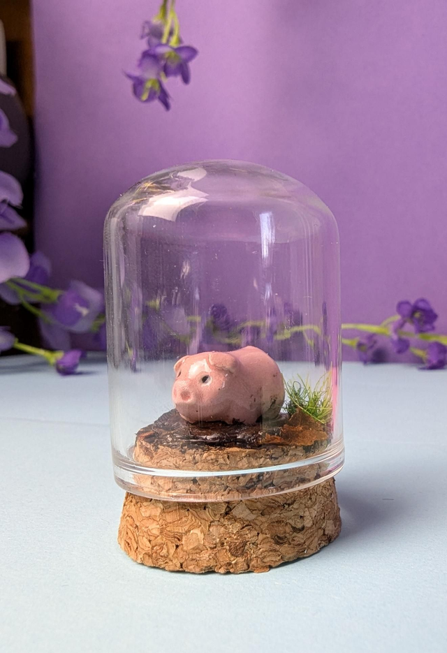 Pig Mini