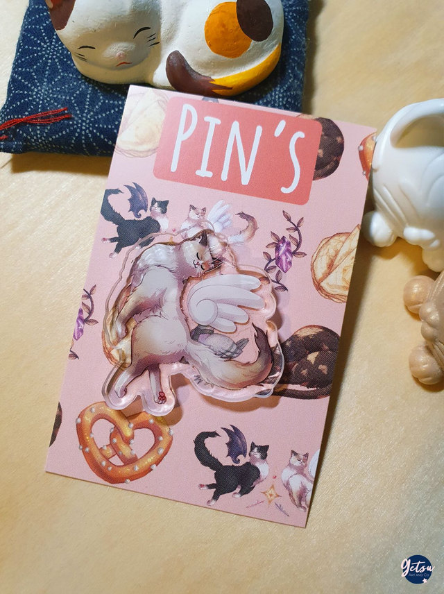 Pin's chat ange