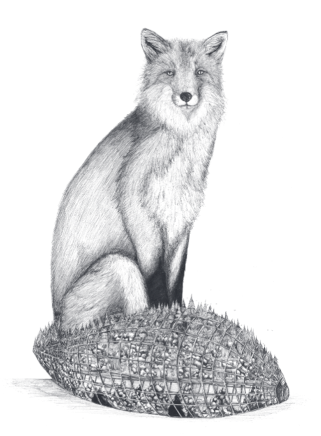 Renard - Edition Art