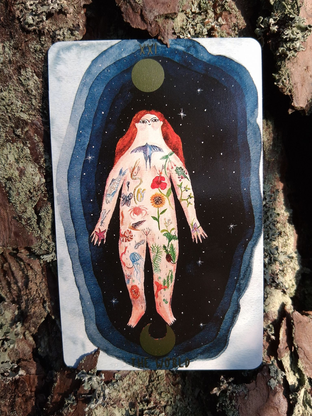 Self Love Tarot: a body-positive Tarot deck * by Hanna Tricoire