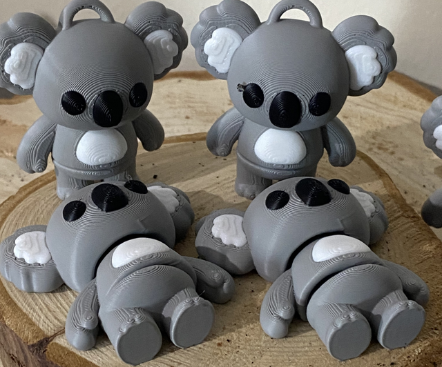 Koala