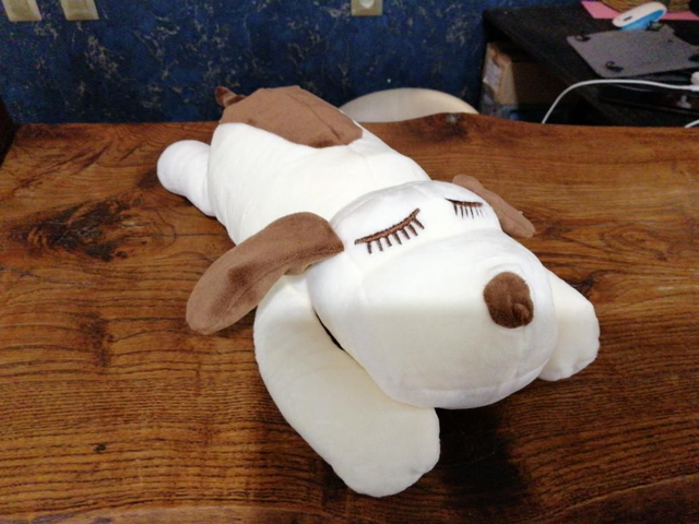 Chien dodo