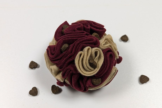Balle de fouille & Friandises