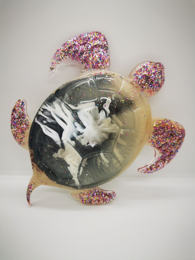 Tortue d'eau plate noir et blanc